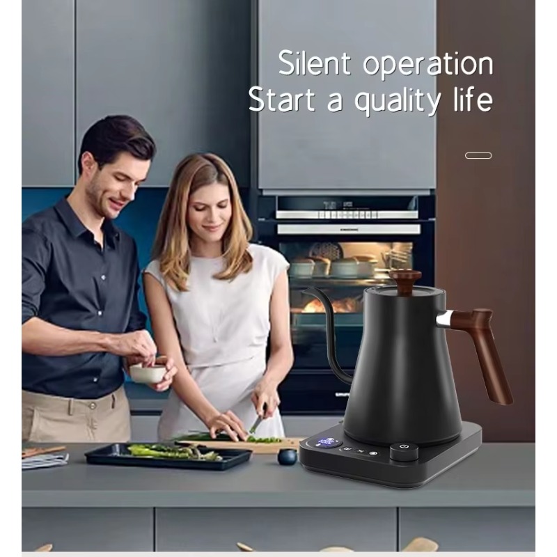 New Design Fish Smart Electric - Electric Kettle Temperature Control recension och pris