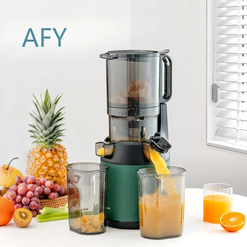 220V Slow Juicer Cold Press Ex - Electric Slow Juicer Cold Press recension och pris