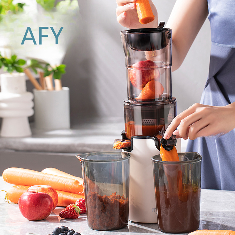 220V Electric Slow Juicer for  - Electric Slow Juicer Cold Press recension och pris