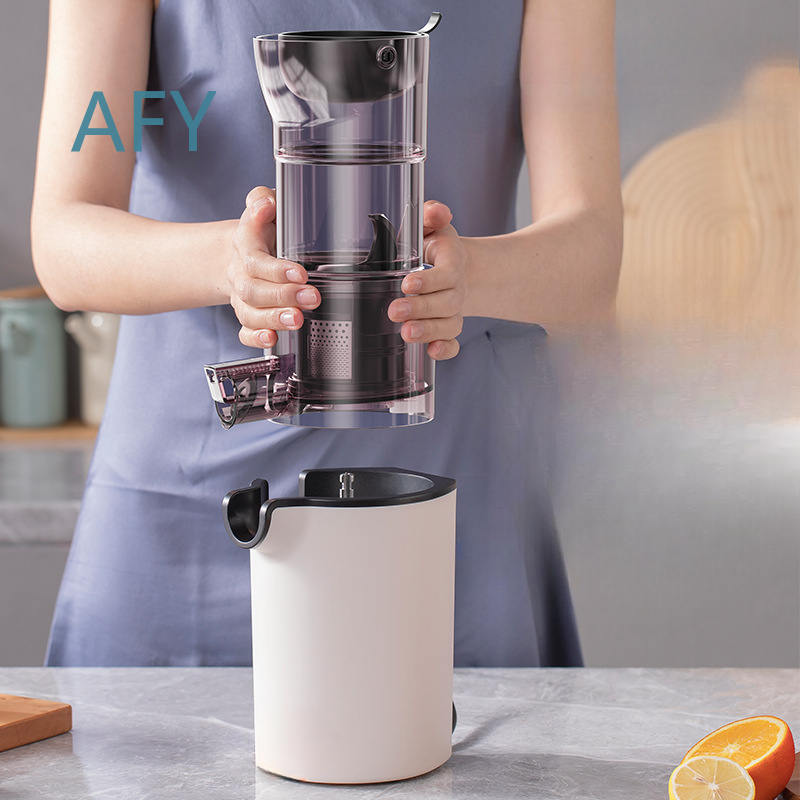 220V Electric Slow Juicer for  - Electric Slow Juicer Cold Press recension och pris