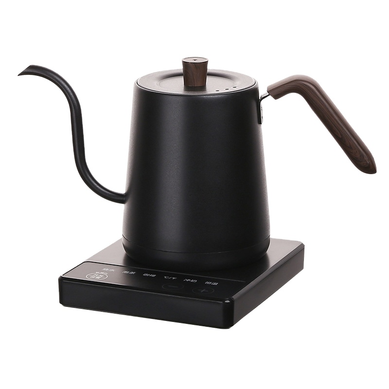 Stainless Steel Small Mouth Te - Electric Kettle Temperature Control recension och pris