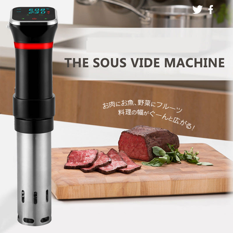 Portable 1100W Vacuum Food Sou - Digital Sous Vide Precision Cooker recension och pris