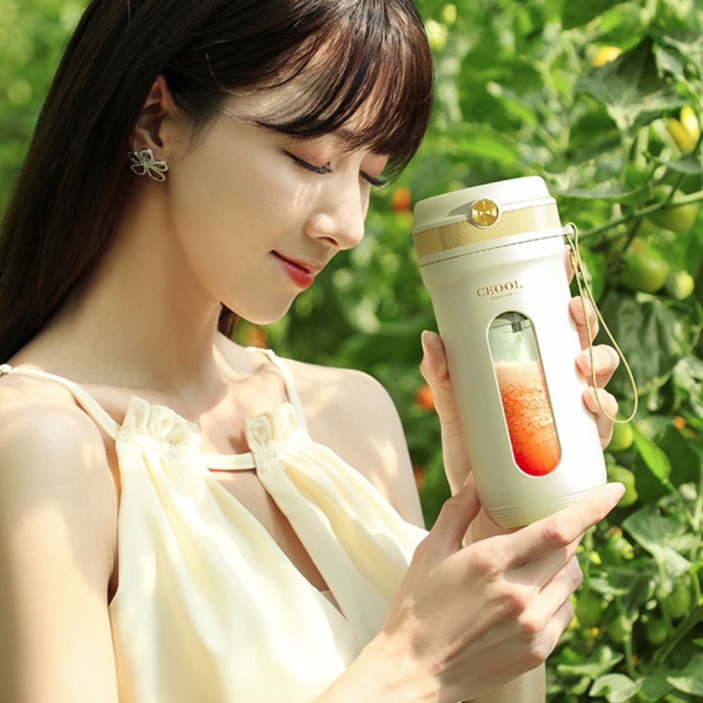 Portable 4/10 Blades Fruit Ble - Portable Blender Usb Rechargeable recension och pris