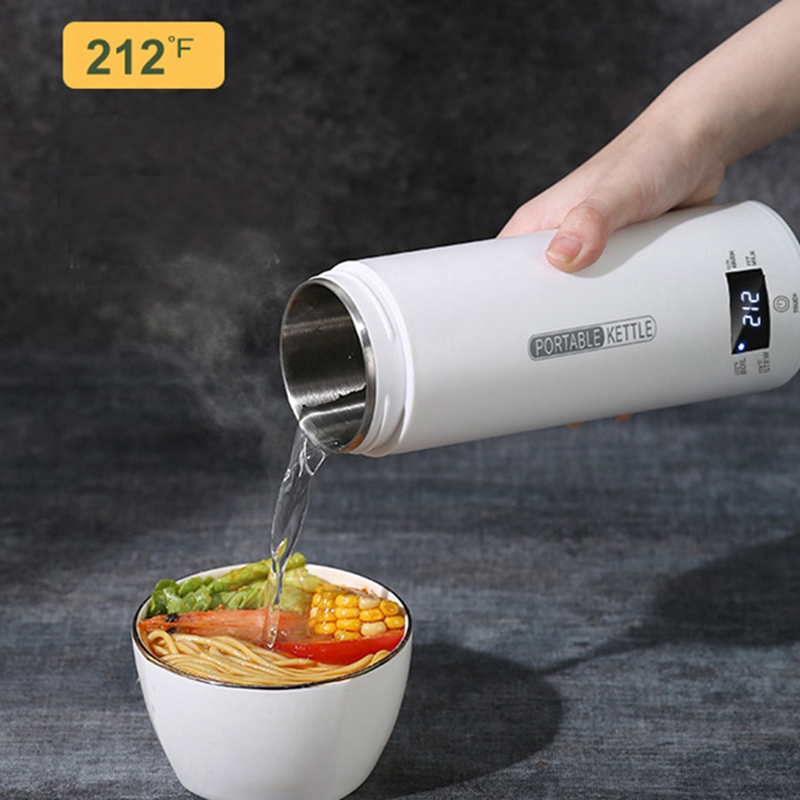 DT39 Portable Travel Electric  - Electric Kettle Temperature Control recension och pris
